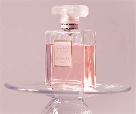 best cocoa pink fragrance.